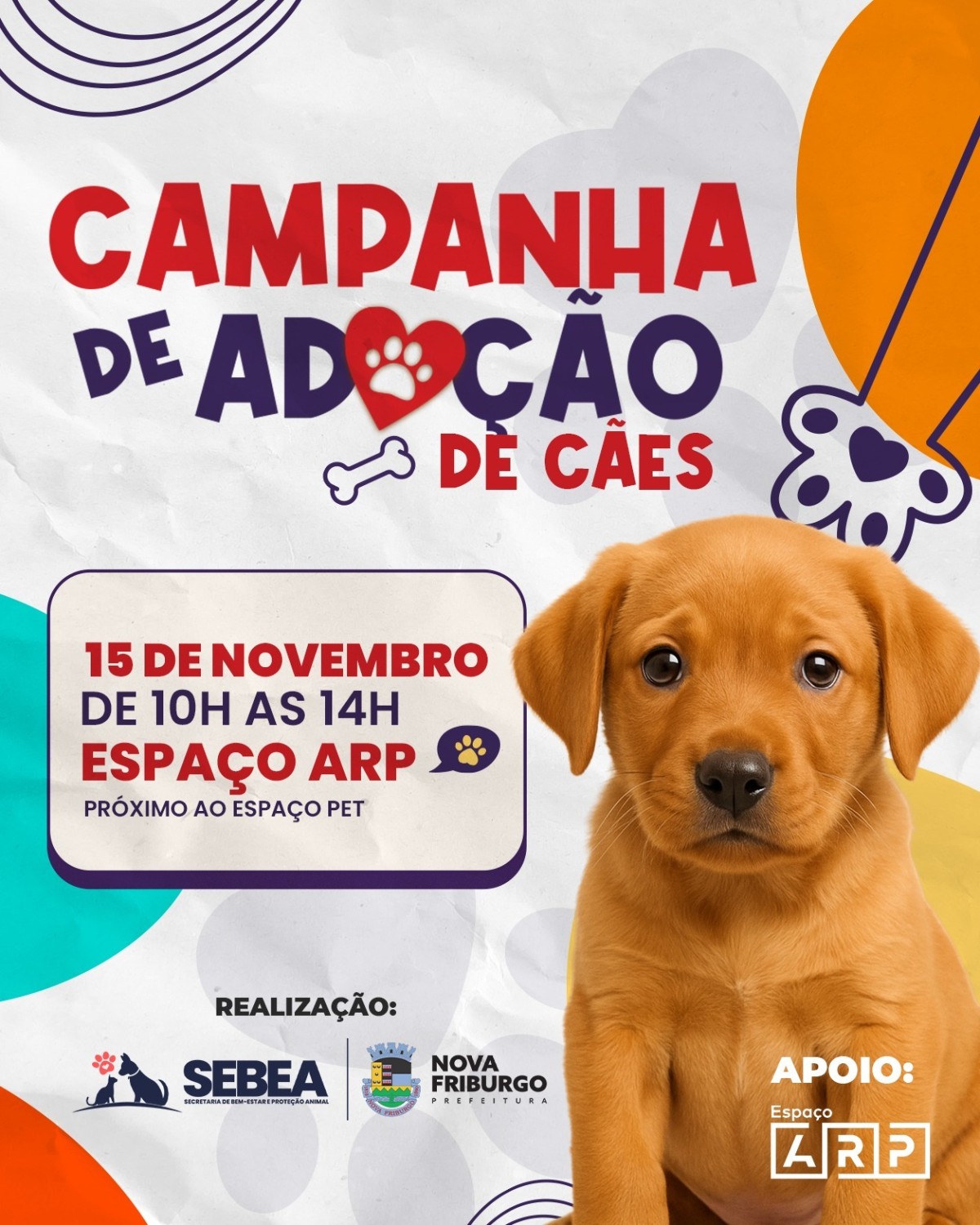 sebea-realiza-campanha-de-adocao-de-caes-no-dia-15-de-novembro