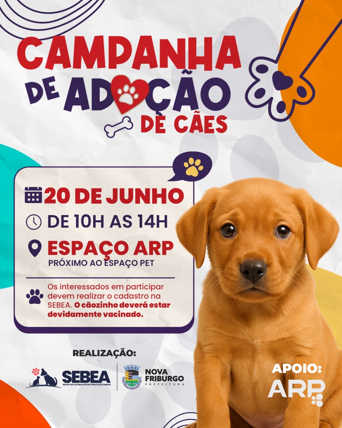 sebea-promove-nova-campanha-de-adocao-responsavel-de-caes