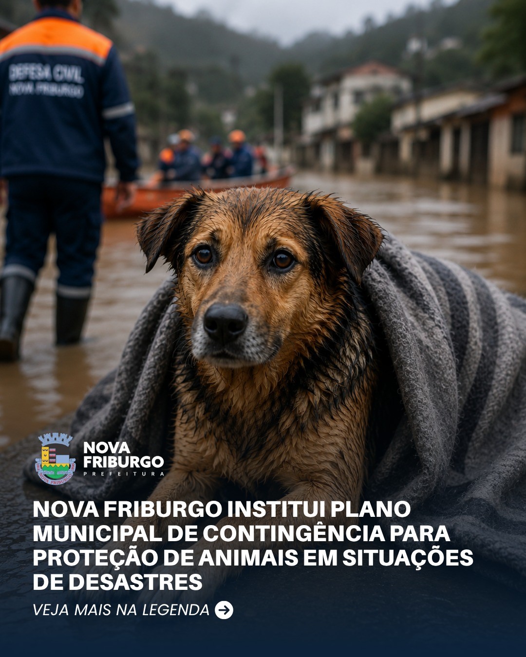 nova-friburgo-institui-plano-municipal-de-contingencia-para-protecao-de-animais-em-situacoes-de-desastres