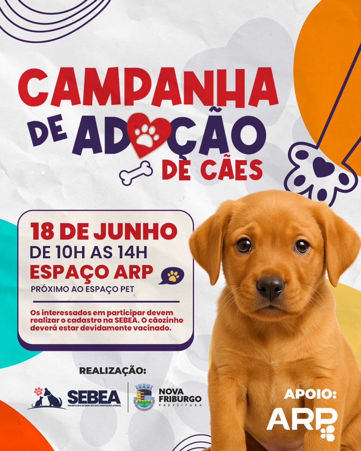 sebea-promove-campanha-de-adocao-de-caes-no-proximo-sabado-dia-18