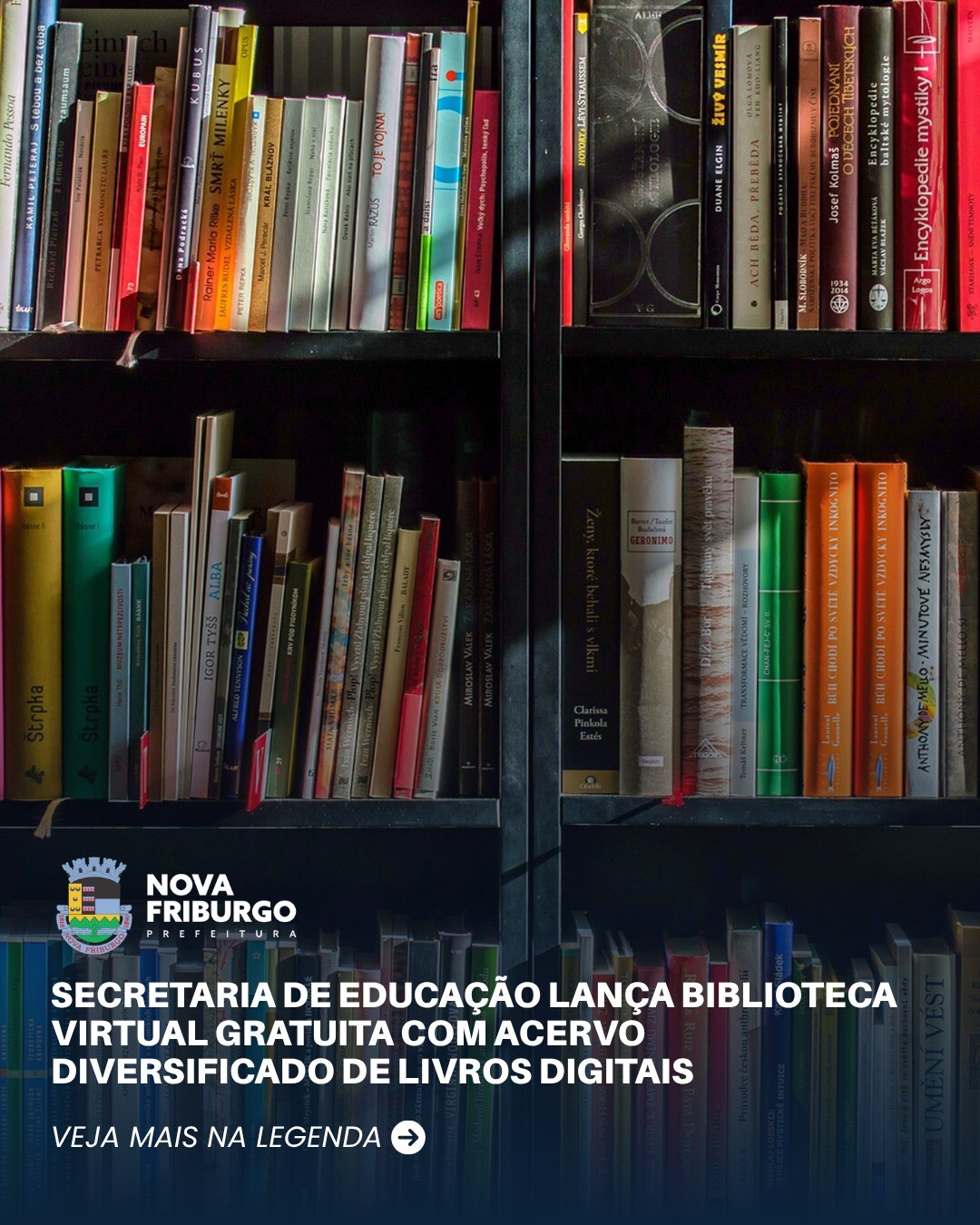 secretaria-de-educacao-lanca-biblioteca-virtual-gratuita-com-acervo-diversificado-de-livros-digitais