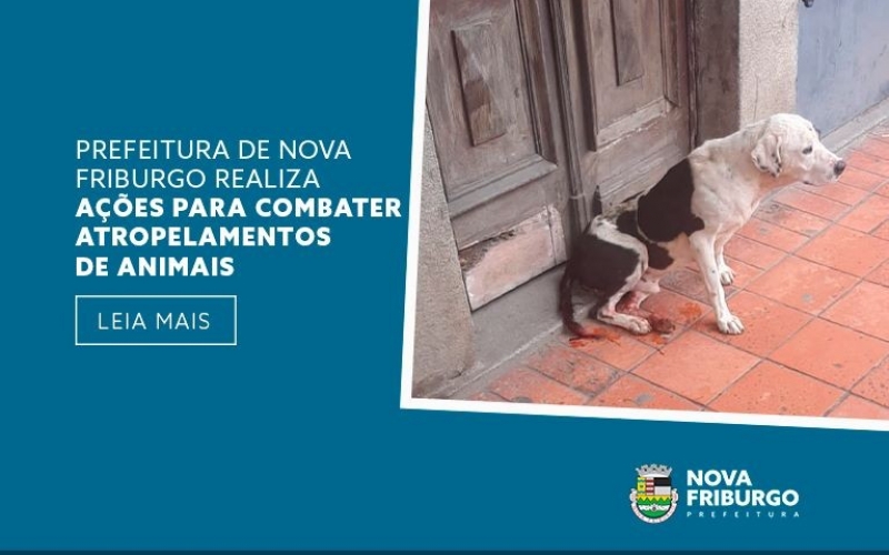 PREFEITURA DE NOVA FRIBURGO REALIZA AÇÕES PARA COMBATER ATROPELAMENTOS DE ANIMAIS